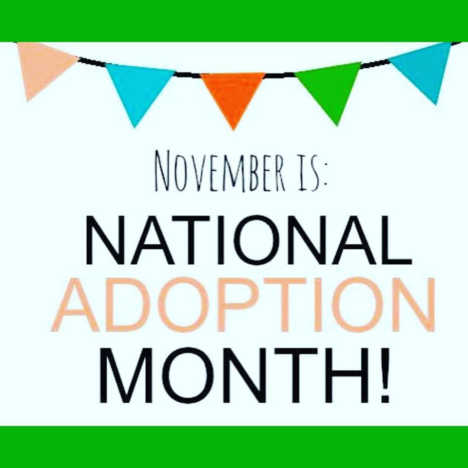 It’s National Adoption Month! - Birthmothers Choice